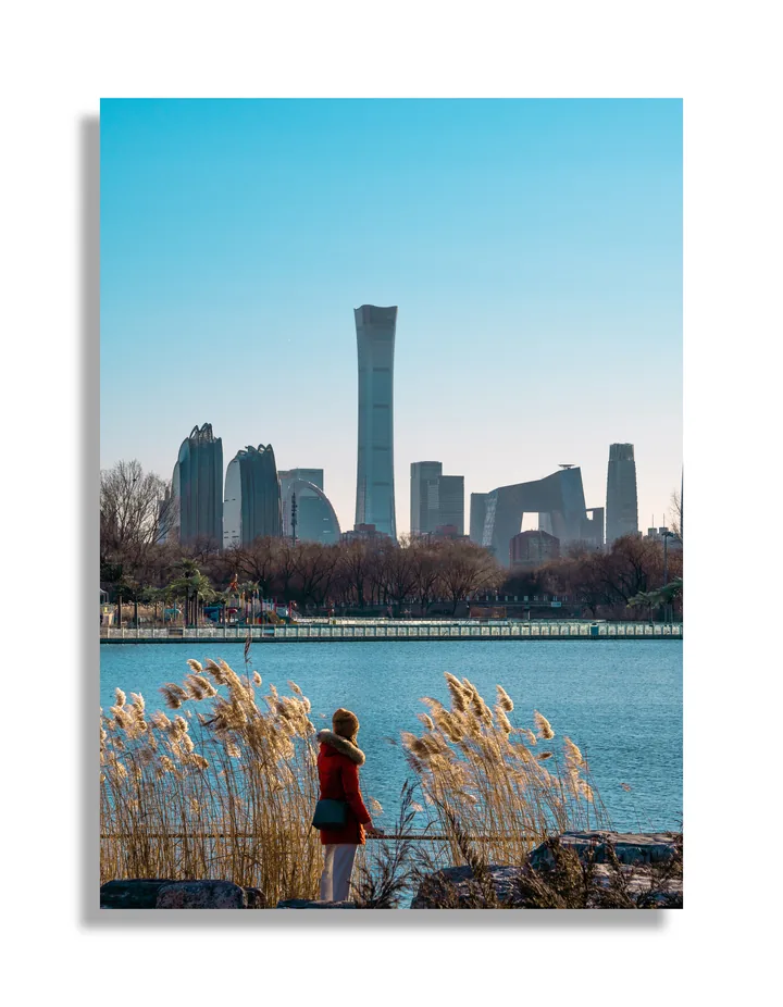Reeds beside a lake with a city skyline beyond