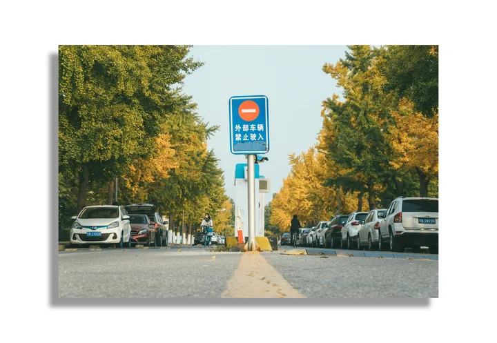 Tree-lined street with parked cars and a central road sign