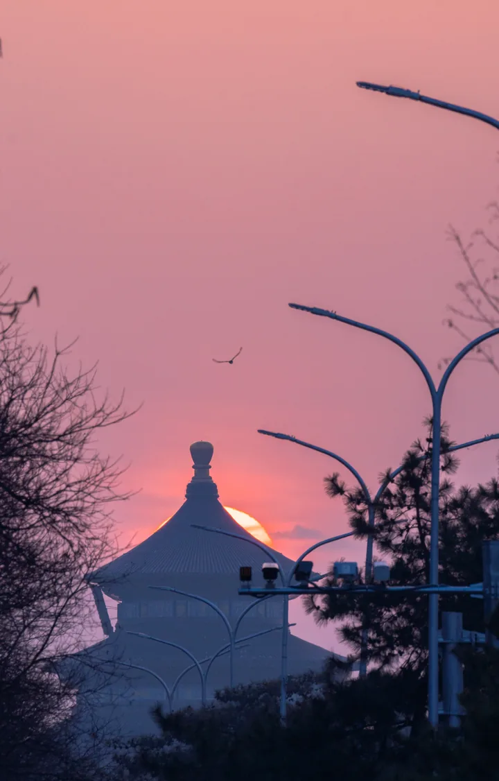 A pavilion and streetlights against a pink evening sky
