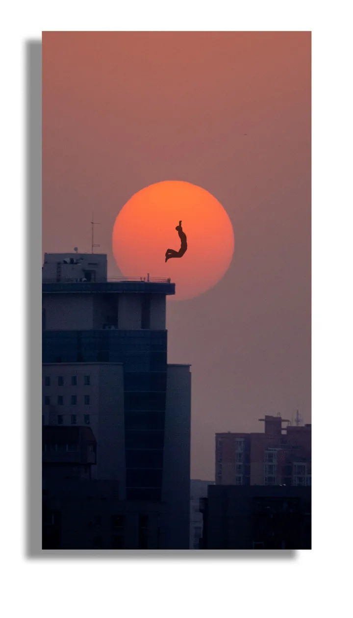 Bird silhouette crossing the orange sun above buildings