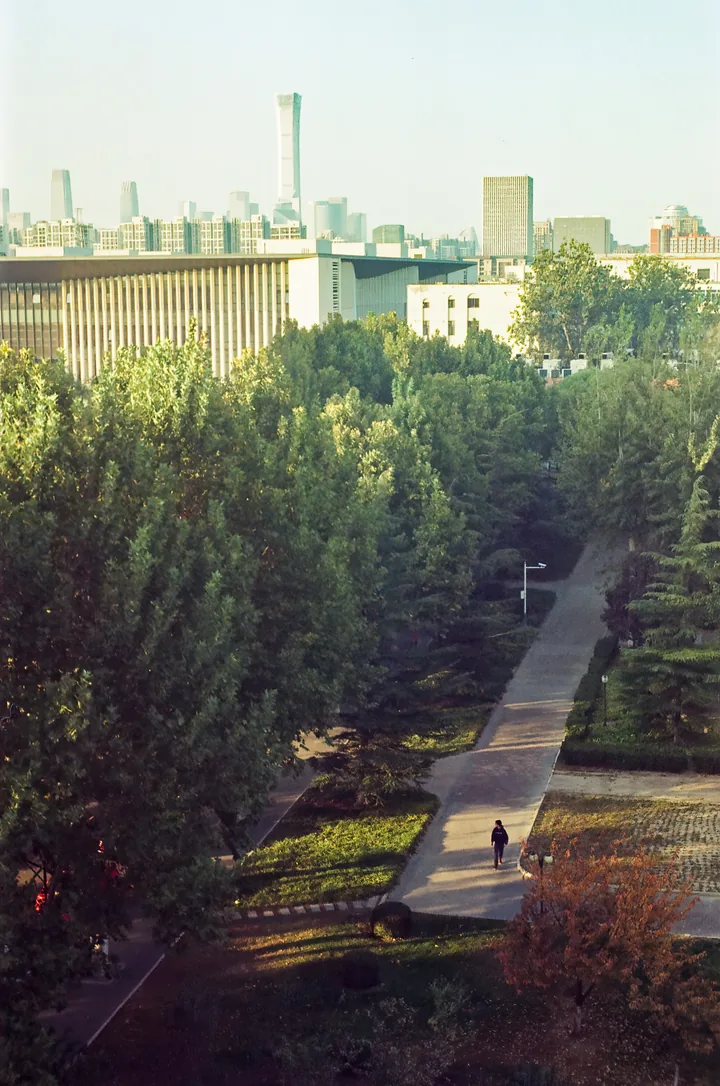 Tree-lined path leading toward city buildings