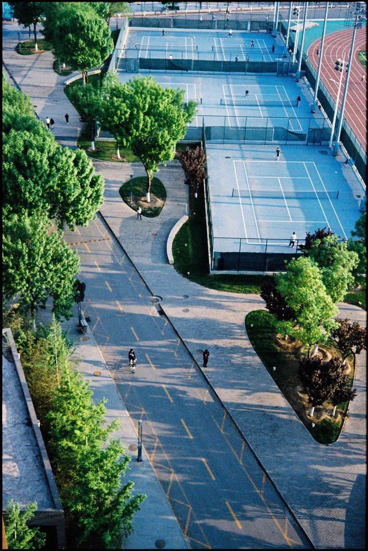 Blue sports courts and paths surrounded by green trees