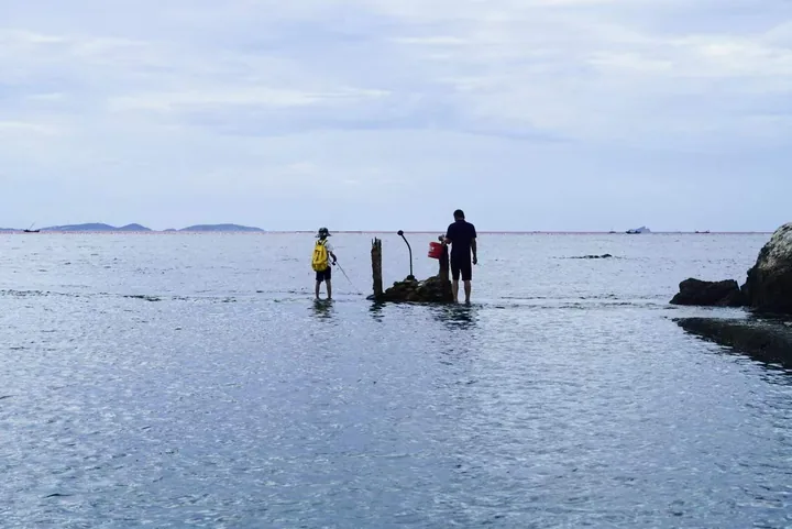 People standing in shallow water near the shore