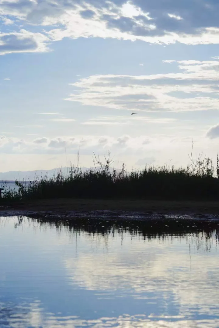 Clouds reflected in still water beside reeds