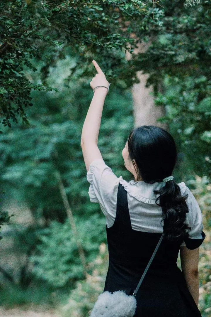 Person pointing upward beneath leafy trees