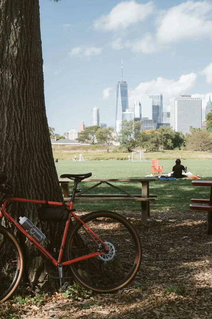 Red bicycle beside a tree with a waterfront skyline